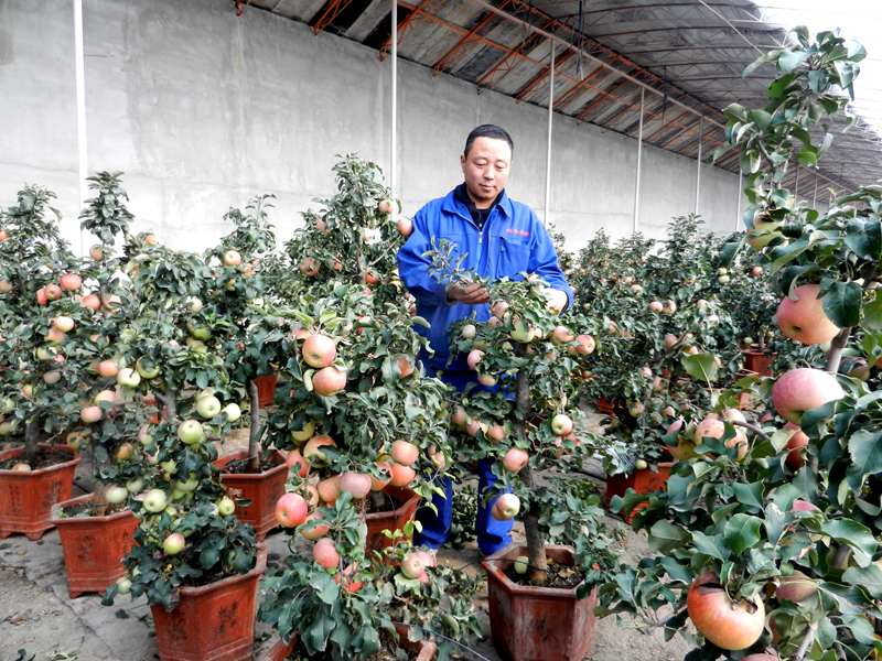 保定市人民政府网--富裕文明新区 美丽幸福徐水